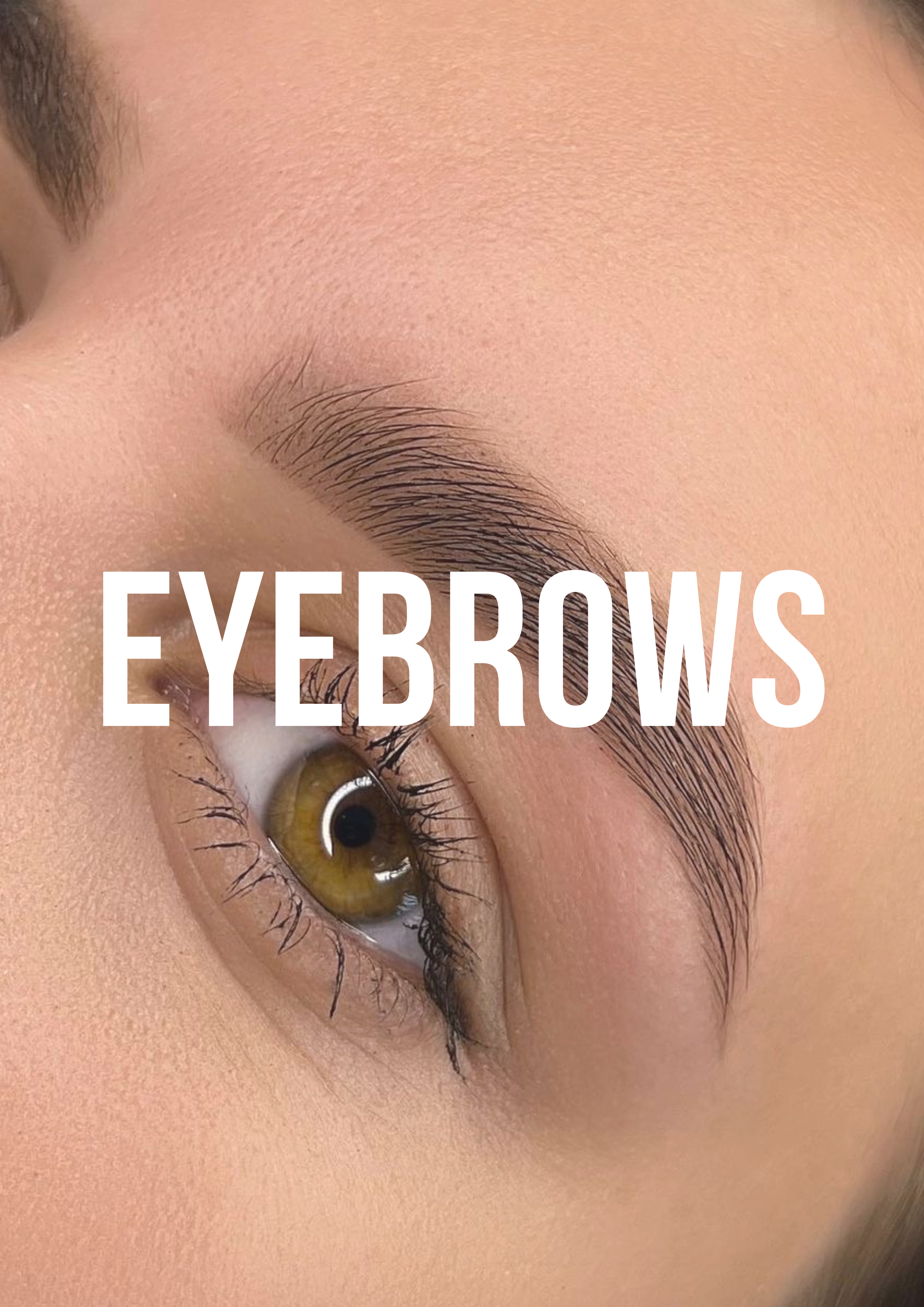 Eyebrows/Cejas